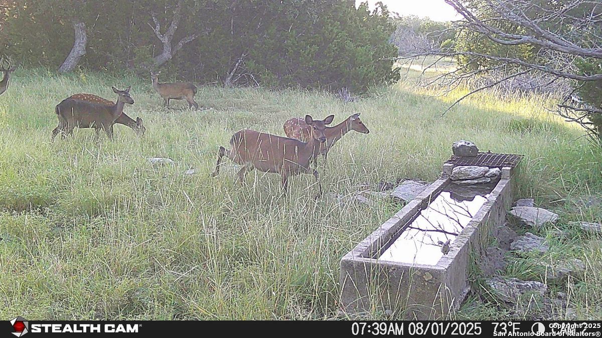 116 U.s. Highway 83 Mountain Home TX 78058