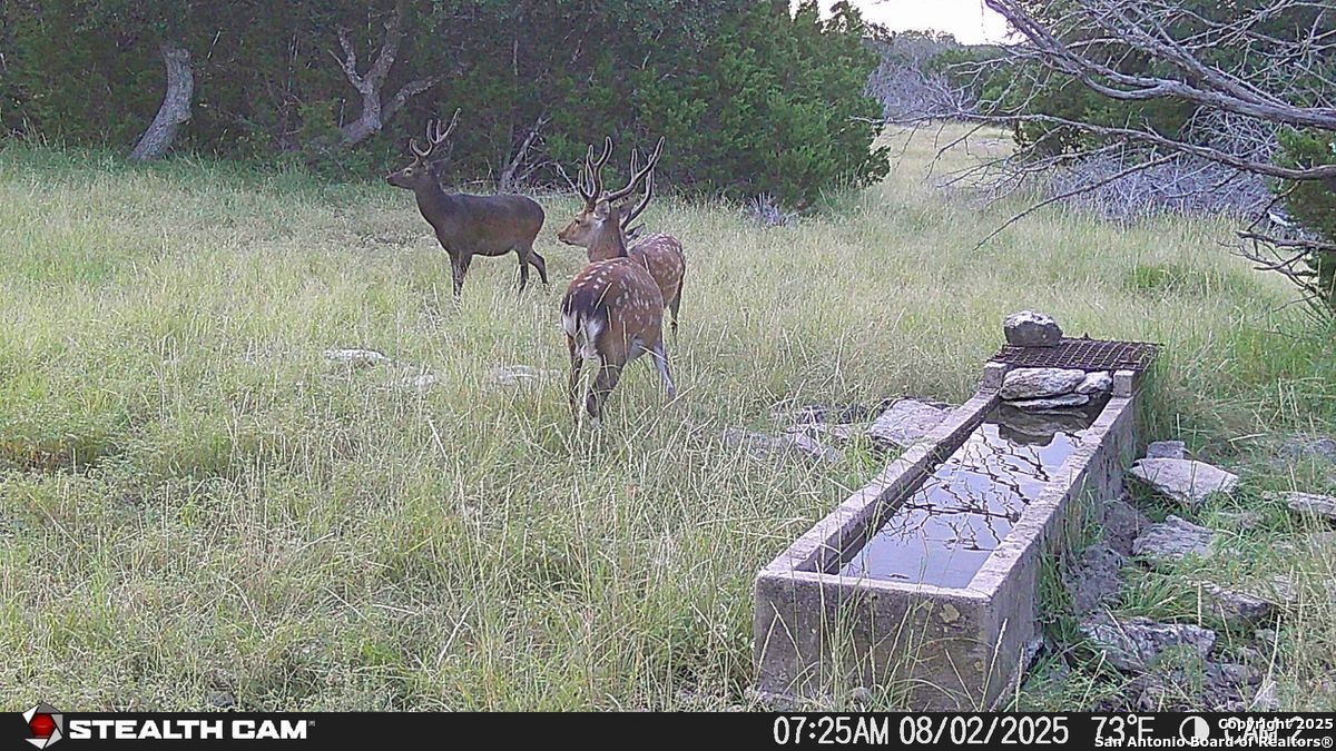 116 U.s. Highway 83 Mountain Home TX 78058