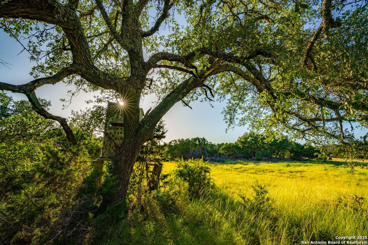 116 U.s. Highway 83 Mountain Home TX 78058