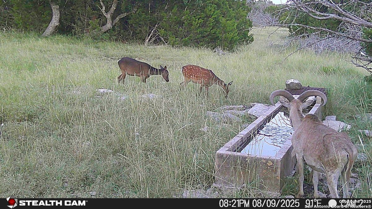 116 U.s. Highway 83 Mountain Home TX 78058