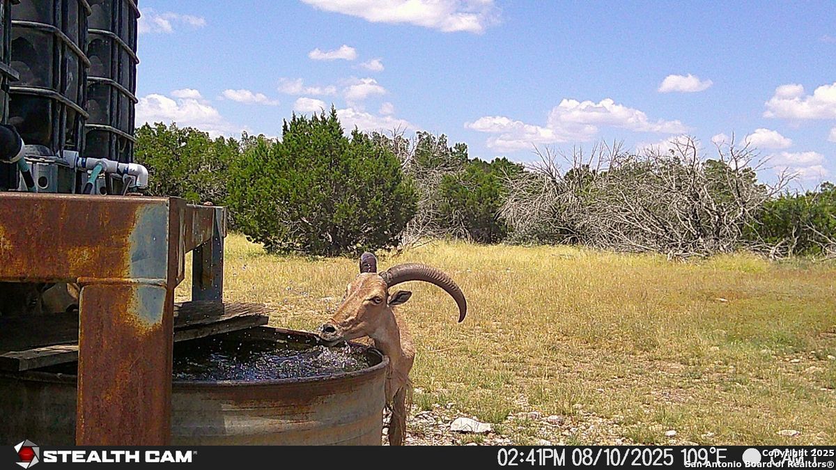 116 U.s. Highway 83 Mountain Home TX 78058