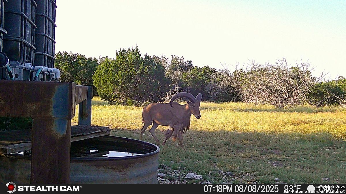 116 U.s. Highway 83 Mountain Home TX 78058