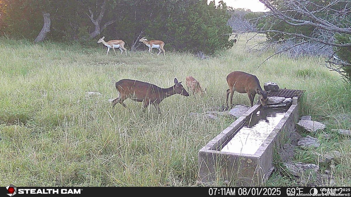 116 U.s. Highway 83 Mountain Home TX 78058