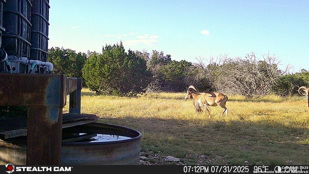 116 U.s. Highway 83 Mountain Home TX 78058