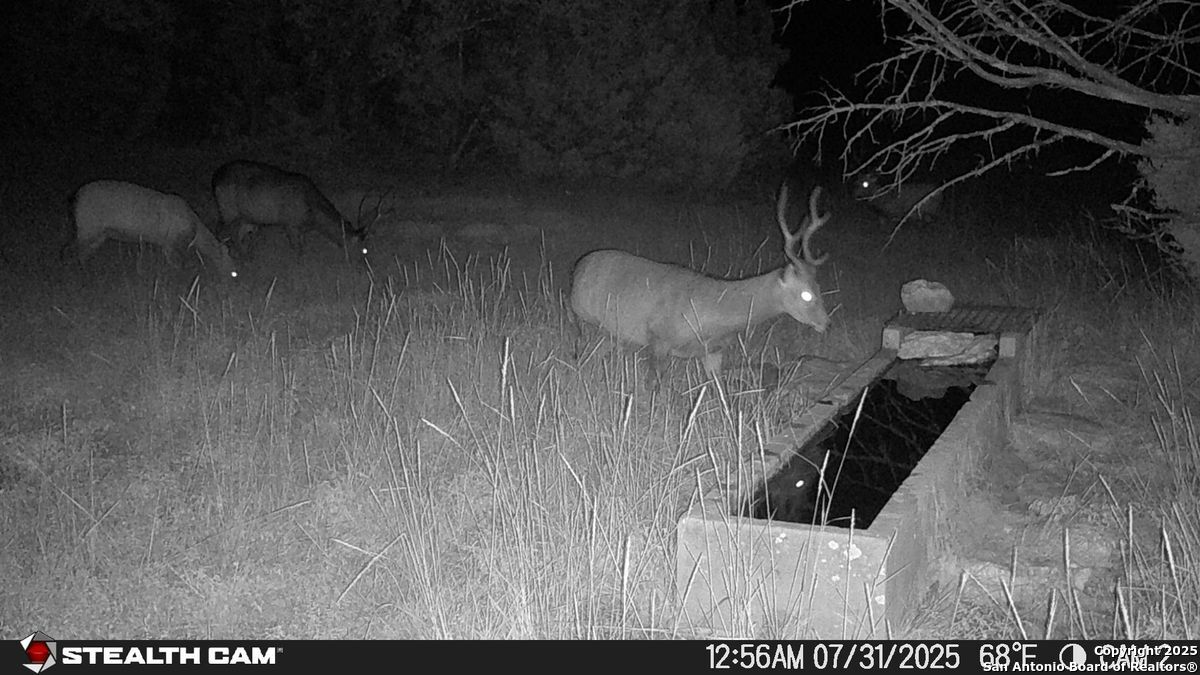 116 U.s. Highway 83 Mountain Home TX 78058