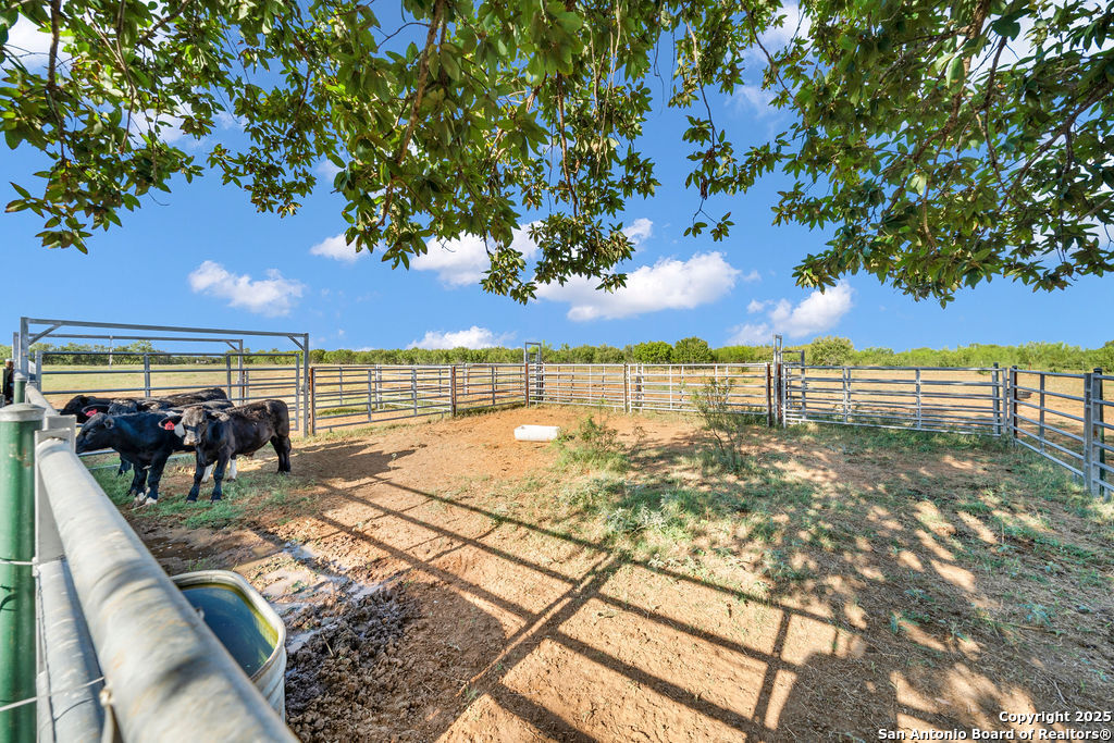 16020 Fm 463 Lytle TX 78052