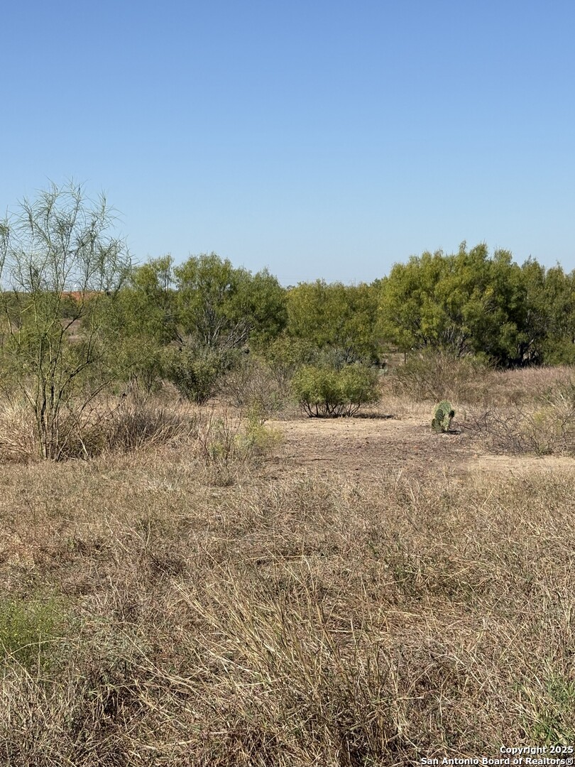 1446 County Road 332 Charlotte TX 78011