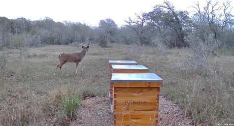 000 Cr 301 Gonzales TX 78629