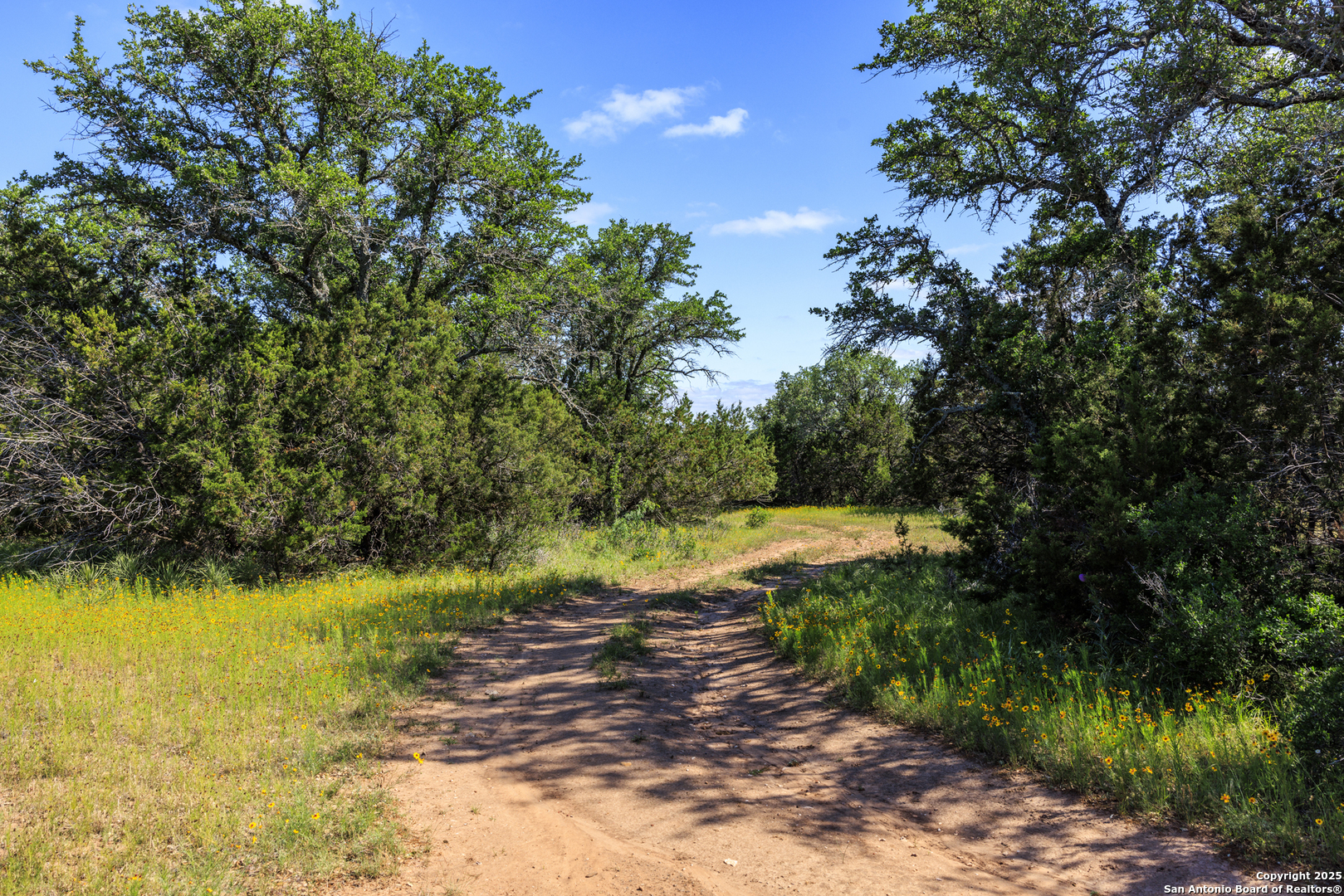 2937 Langes Mill Road Doss TX 78618