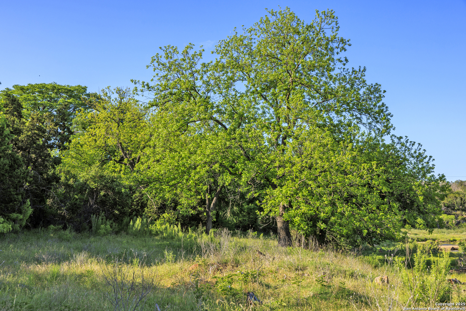 2937 Langes Mill Road Doss TX 78618