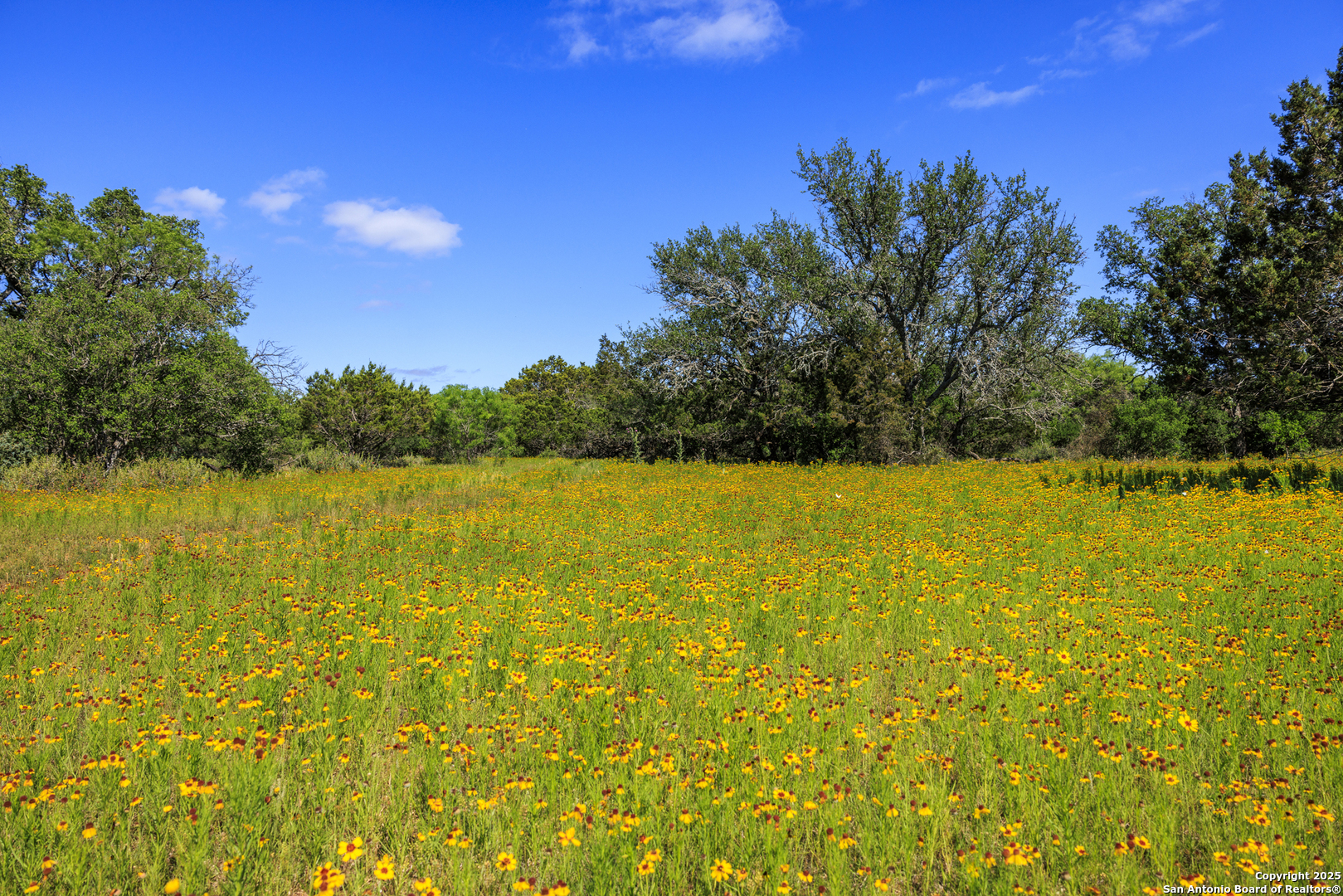 2937 Langes Mill Road Doss TX 78618