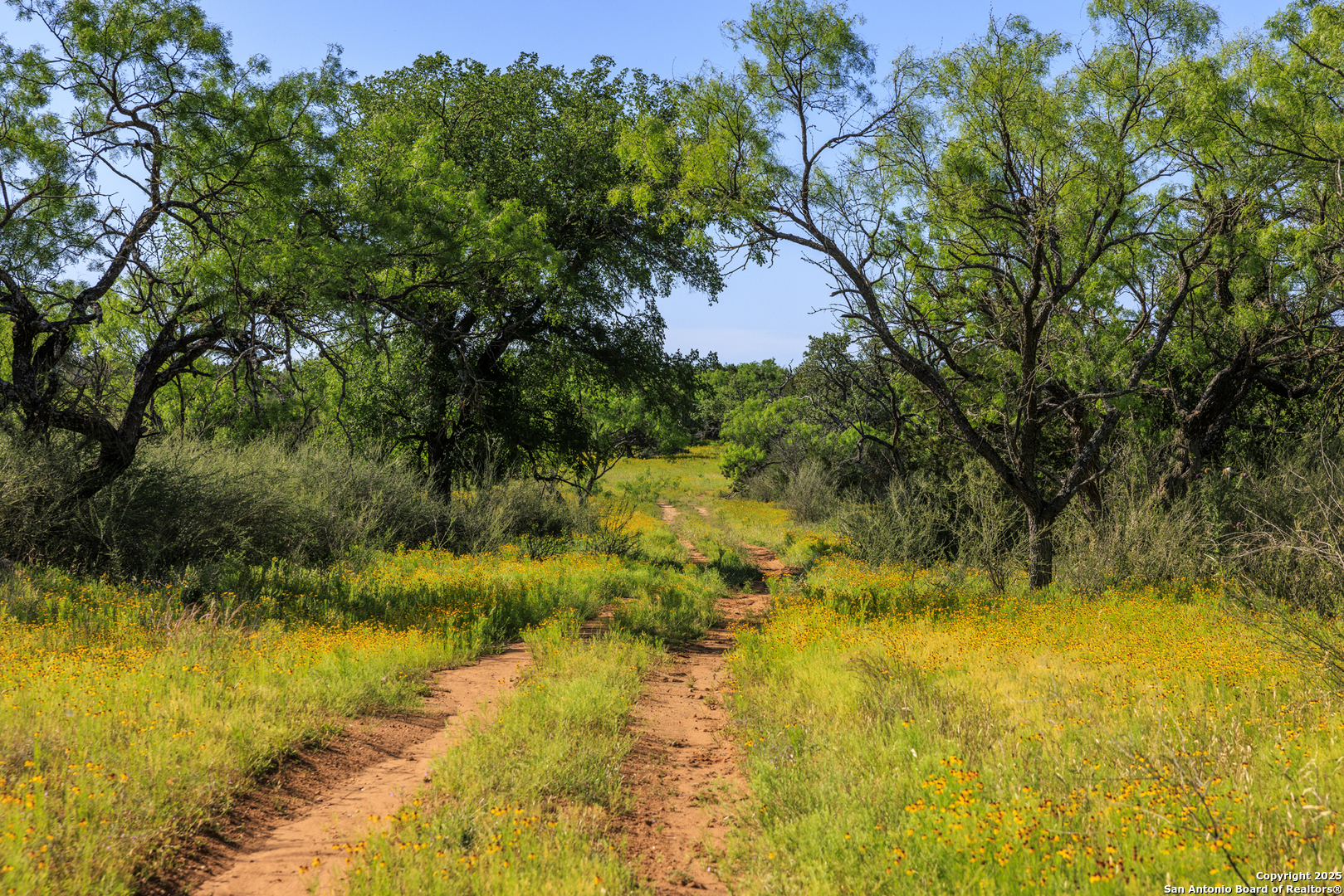 2937 Langes Mill Road Doss TX 78618