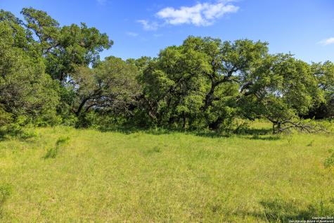 2937 Langes Mill Road Doss TX 78618
