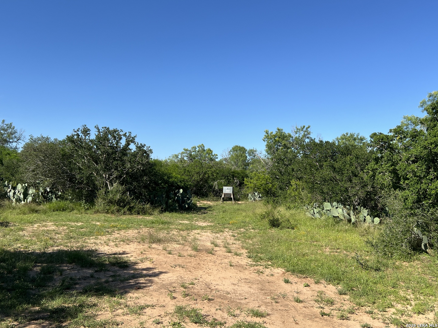 6624 W Fm 2200 Moore TX 78057