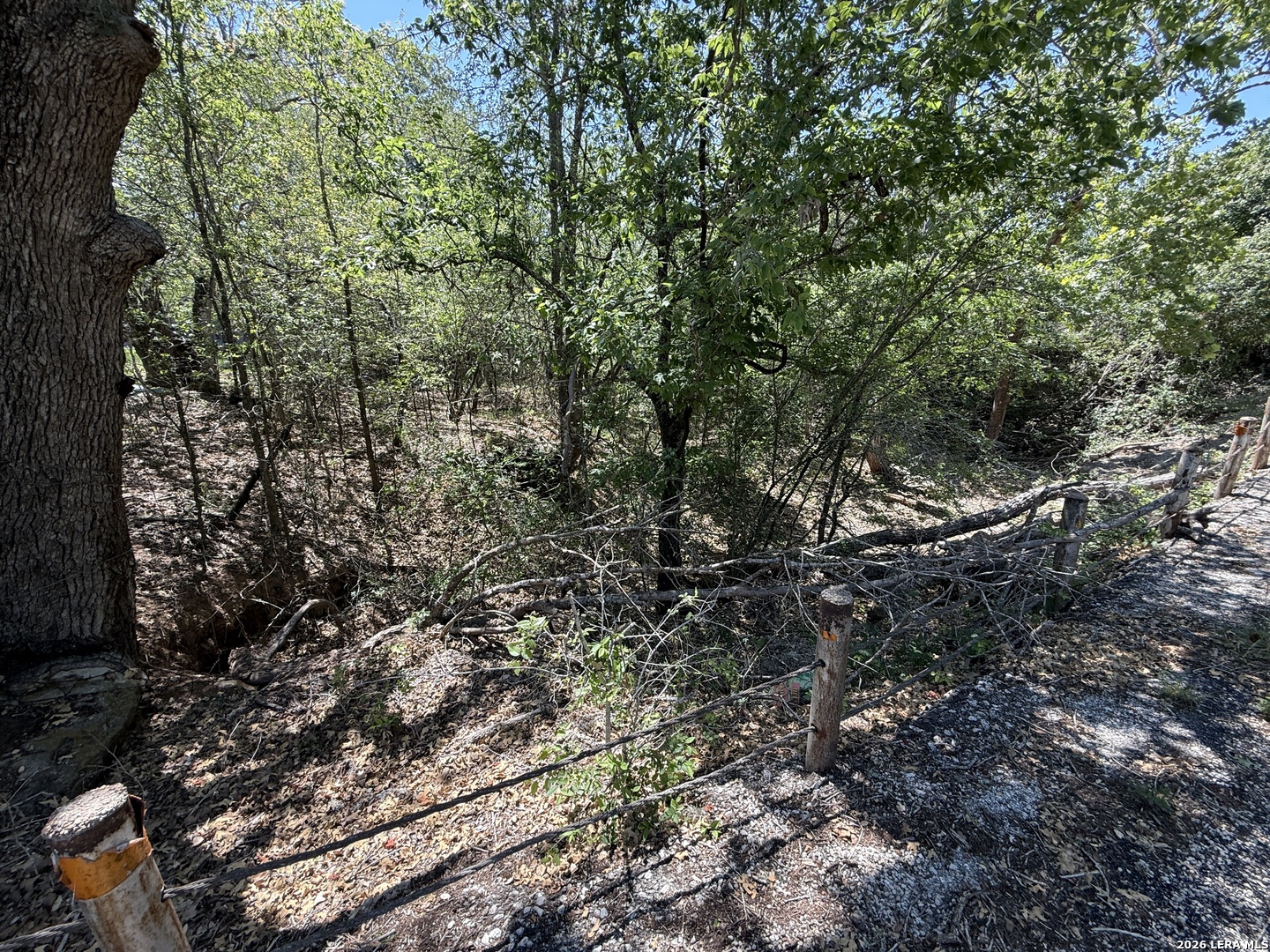 1505 Nash Creek Road Kingsbury TX 78638