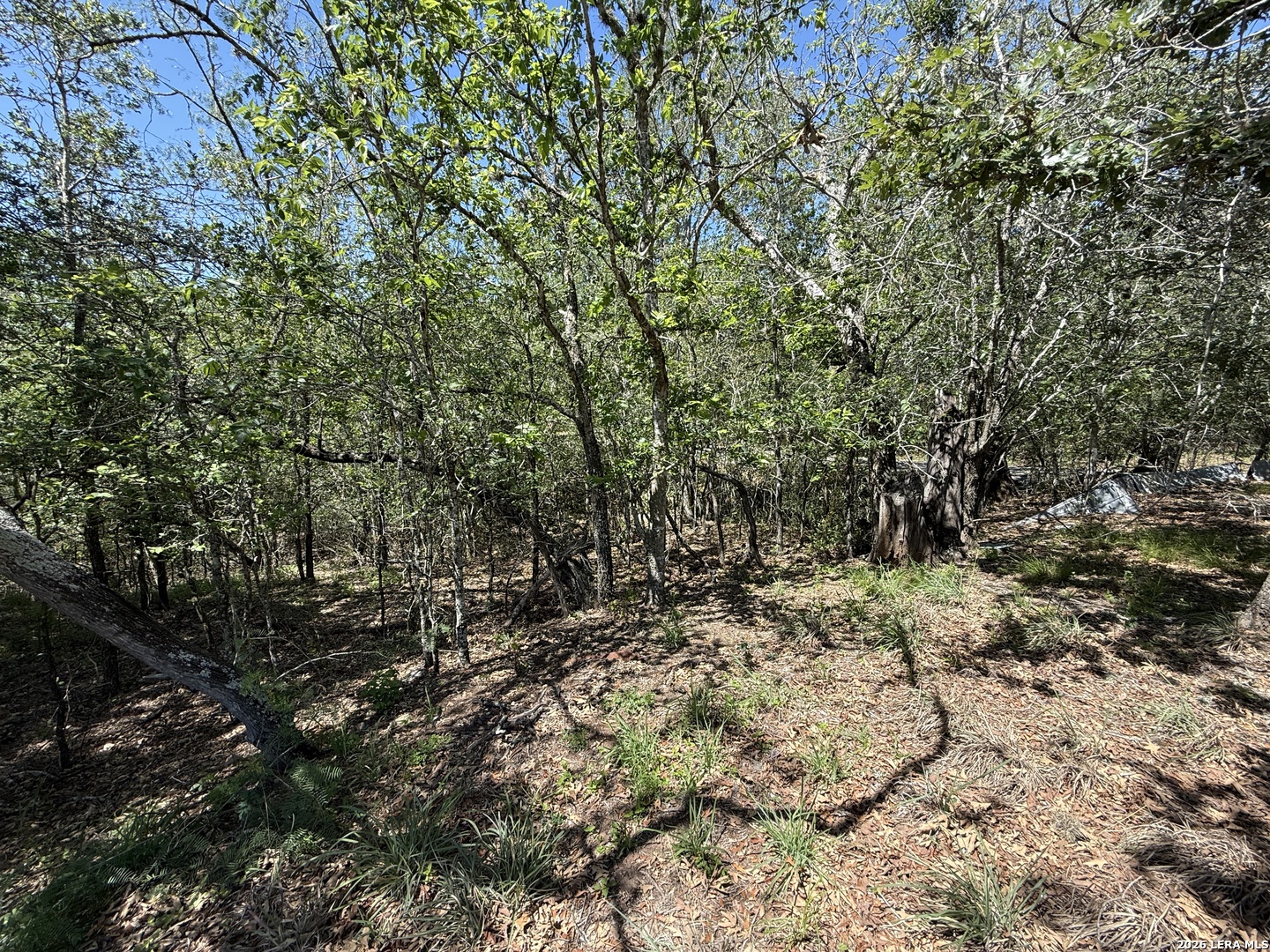 1505 Nash Creek Road Kingsbury TX 78638