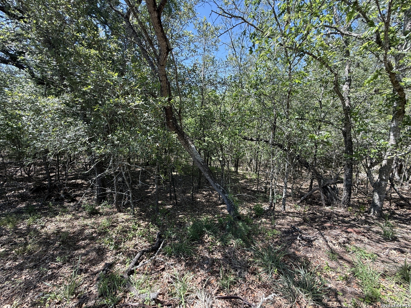 1505 Nash Creek Road Kingsbury TX 78638