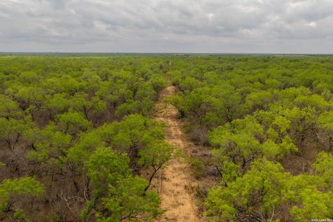 12 Fm 1581 Pearsall TX 78061