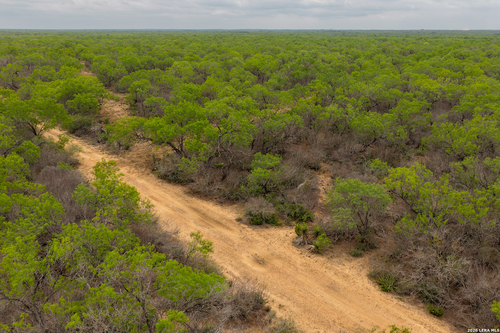 12 Fm 1581 Pearsall TX 78061