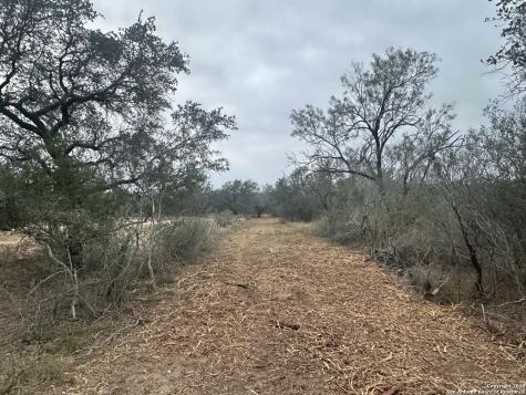 1150 County Road 765 Moore TX 78057