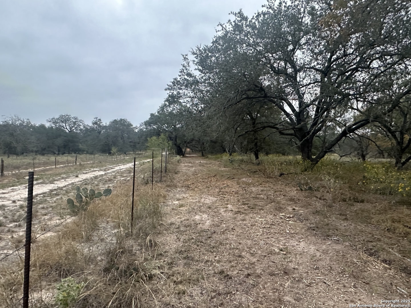 1150 County Road 765 Moore TX 78057