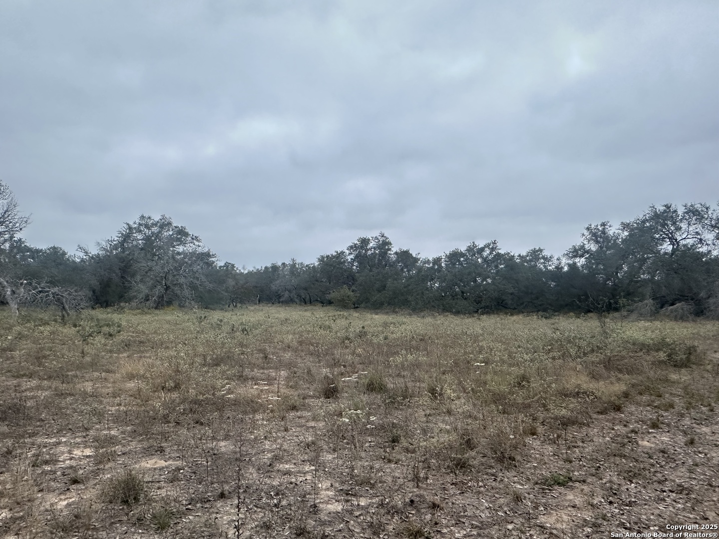1150 County Road 765 Moore TX 78057