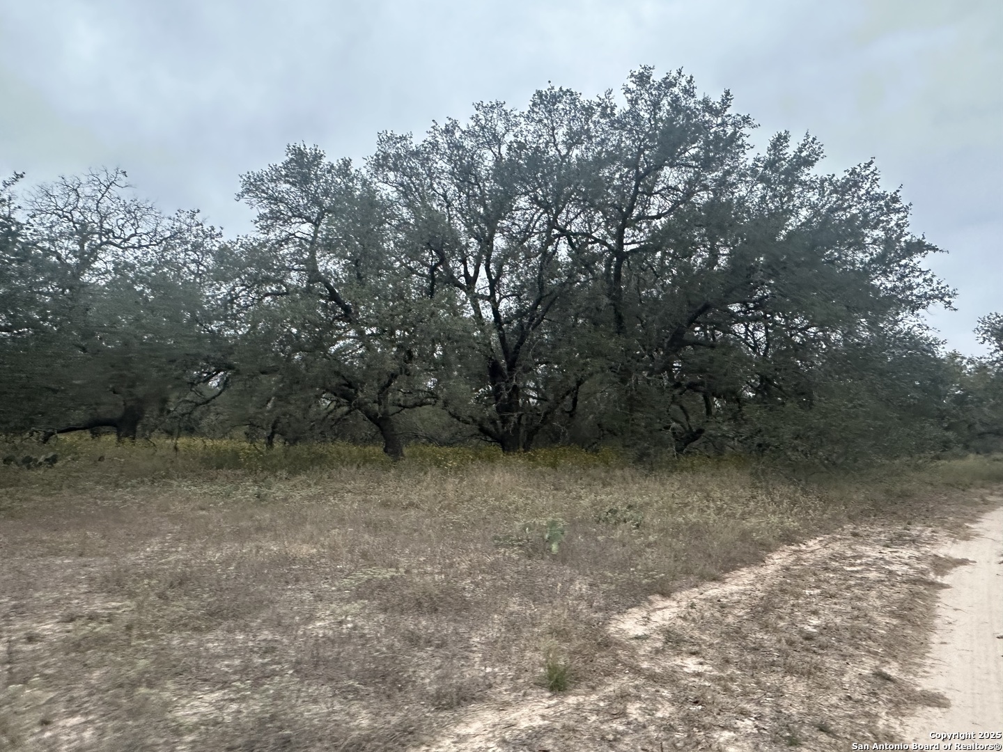 1150 County Road 765 Moore TX 78057