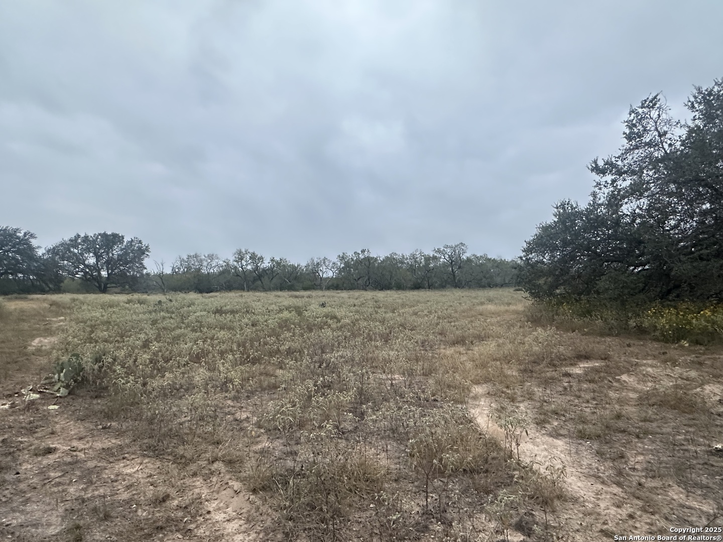 1150 County Road 765 Moore TX 78057