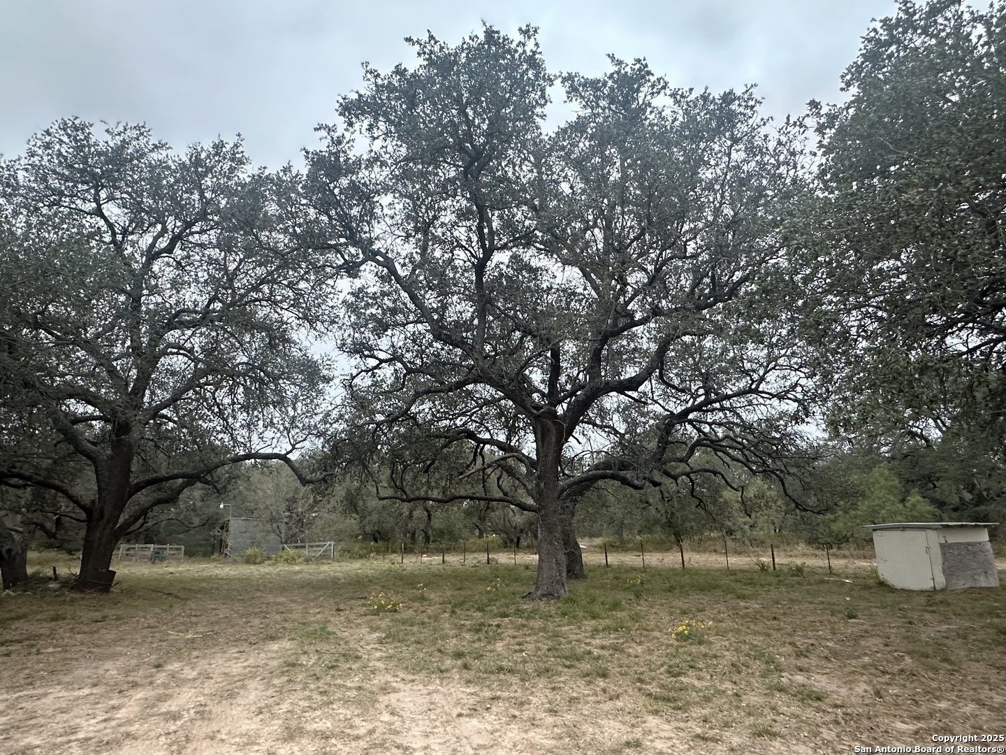 1150 County Road 765 Moore TX 78057