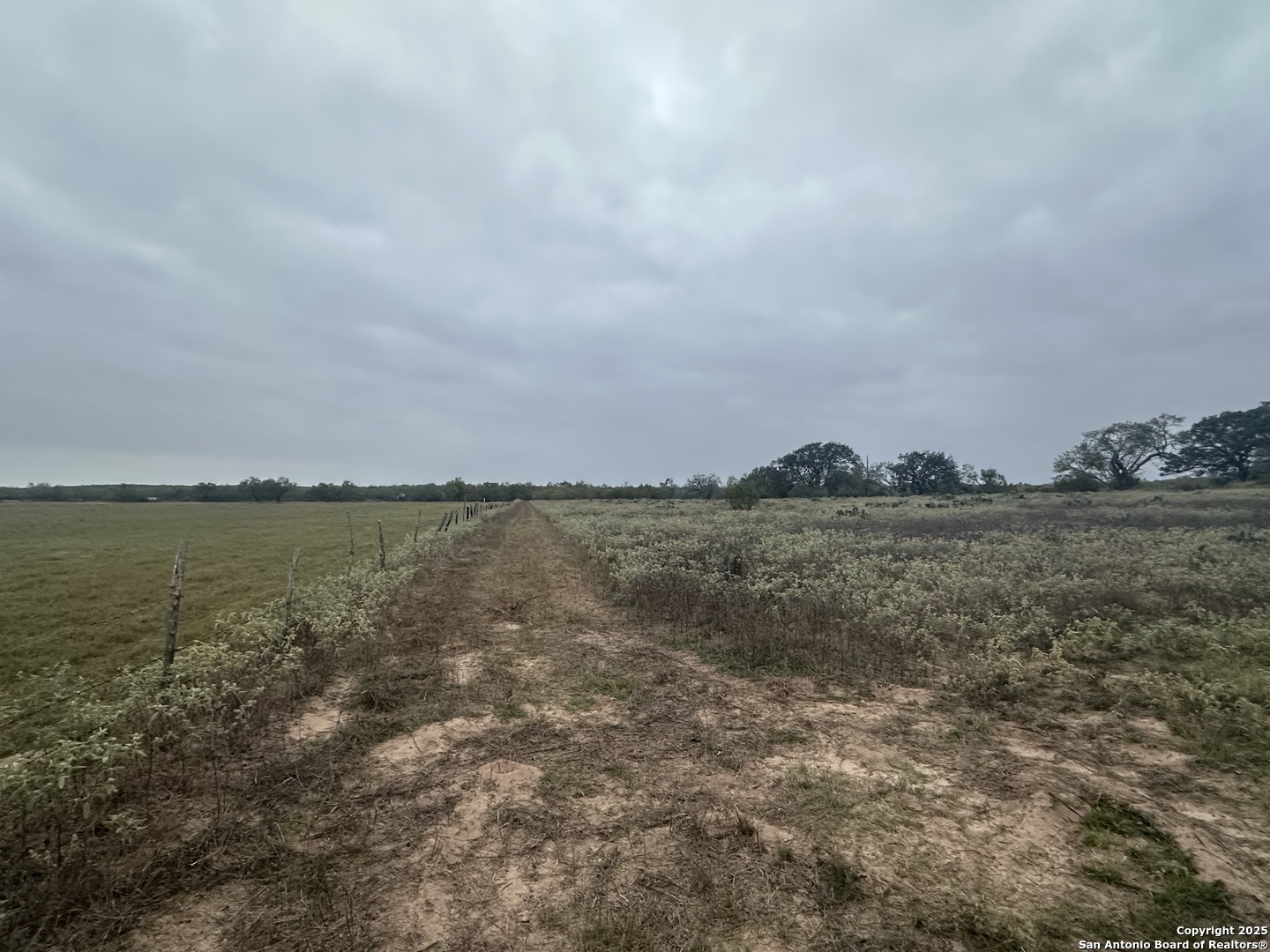 1150 County Road 765 Moore TX 78057