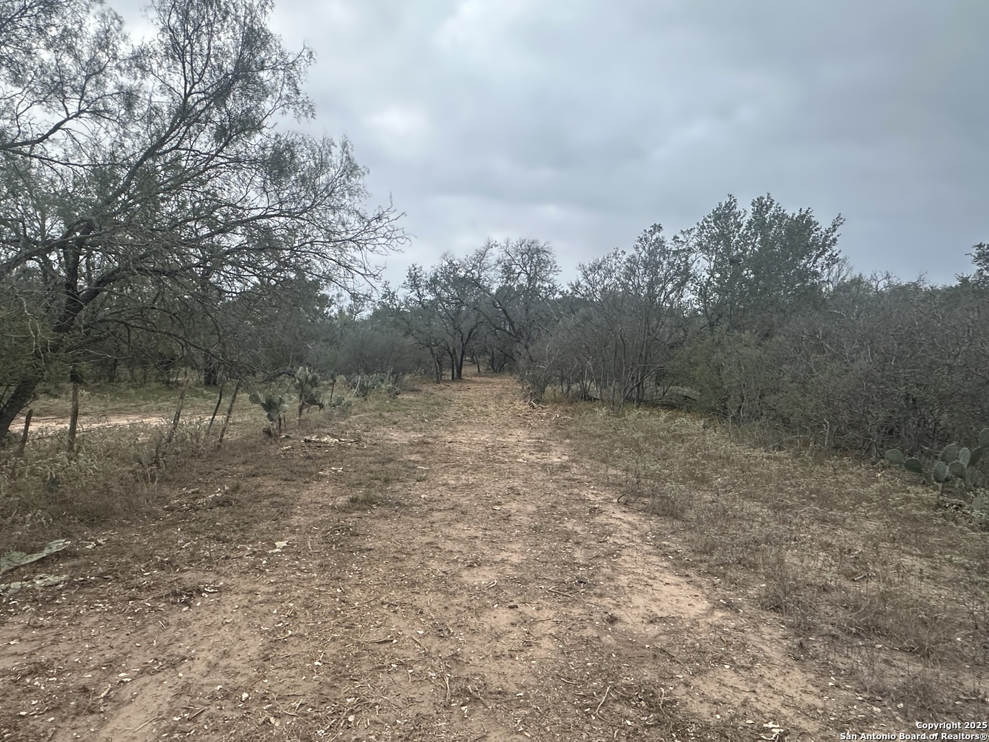 1150 County Road 765 Moore TX 78057