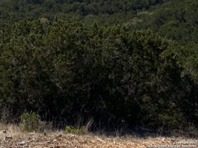 1006 County Road 270 Mico TX 78056