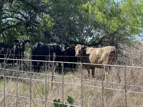 2141 County Road 132 Floresville TX 78114