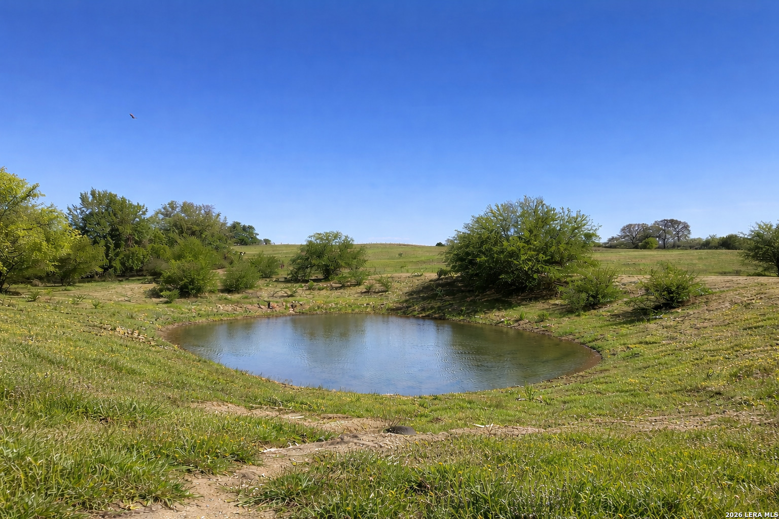 2141 County Road 132 Floresville TX 78114