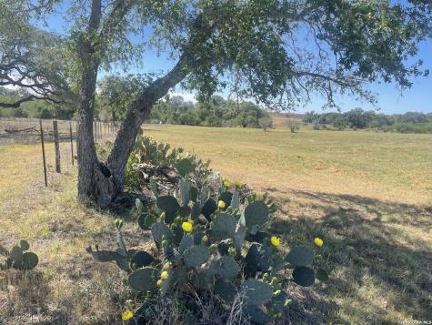 2141 County Road 132 Floresville TX 78114