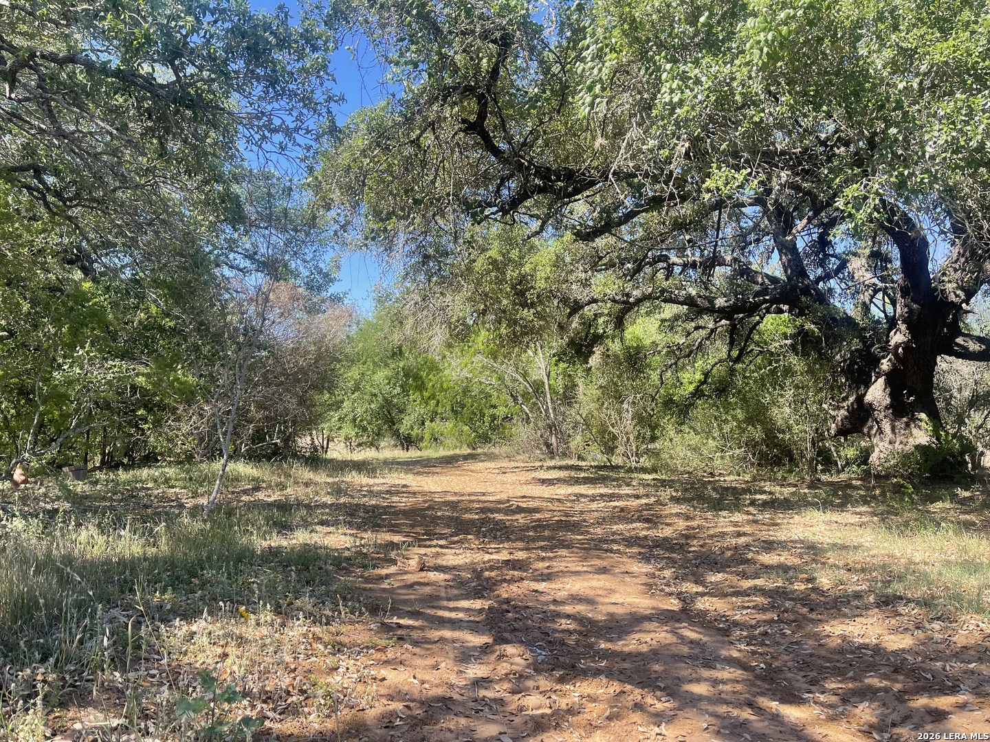 2141 County Road 132 Floresville TX 78114