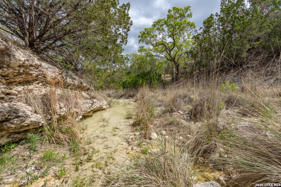 3655 North Seco Road Utopia TX 78884