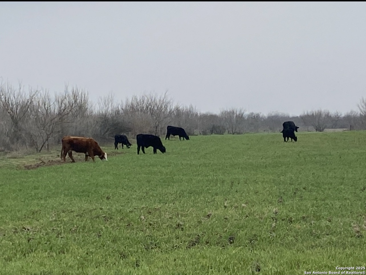 0 Applewhite Road San Antonio TX 78264