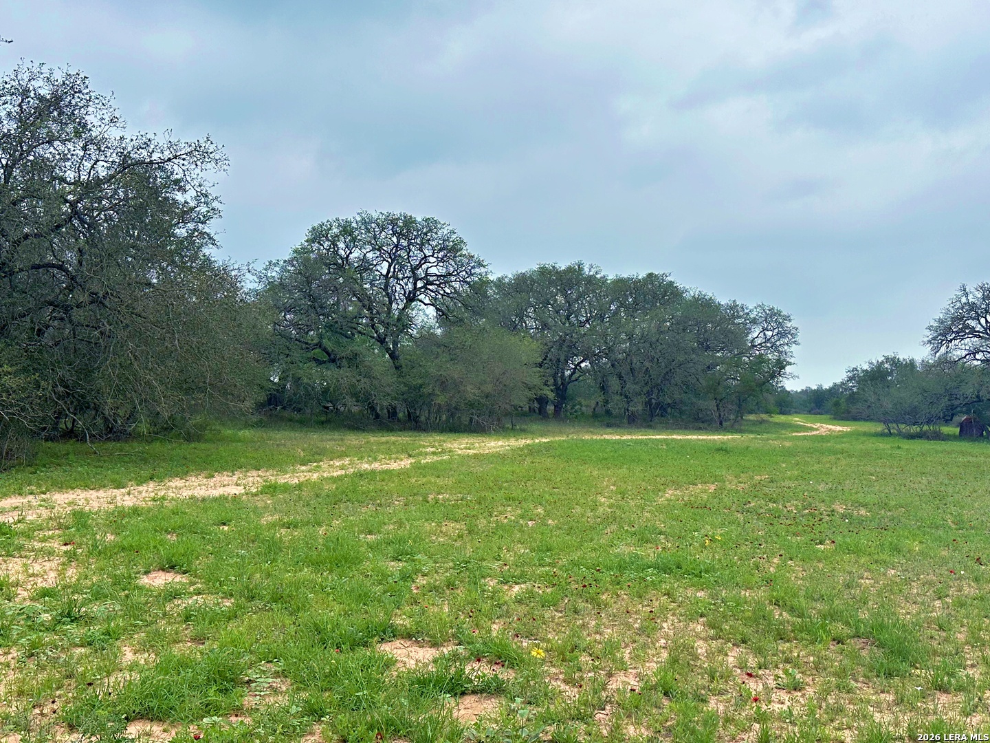 586 Jenschke Poteet TX 78065