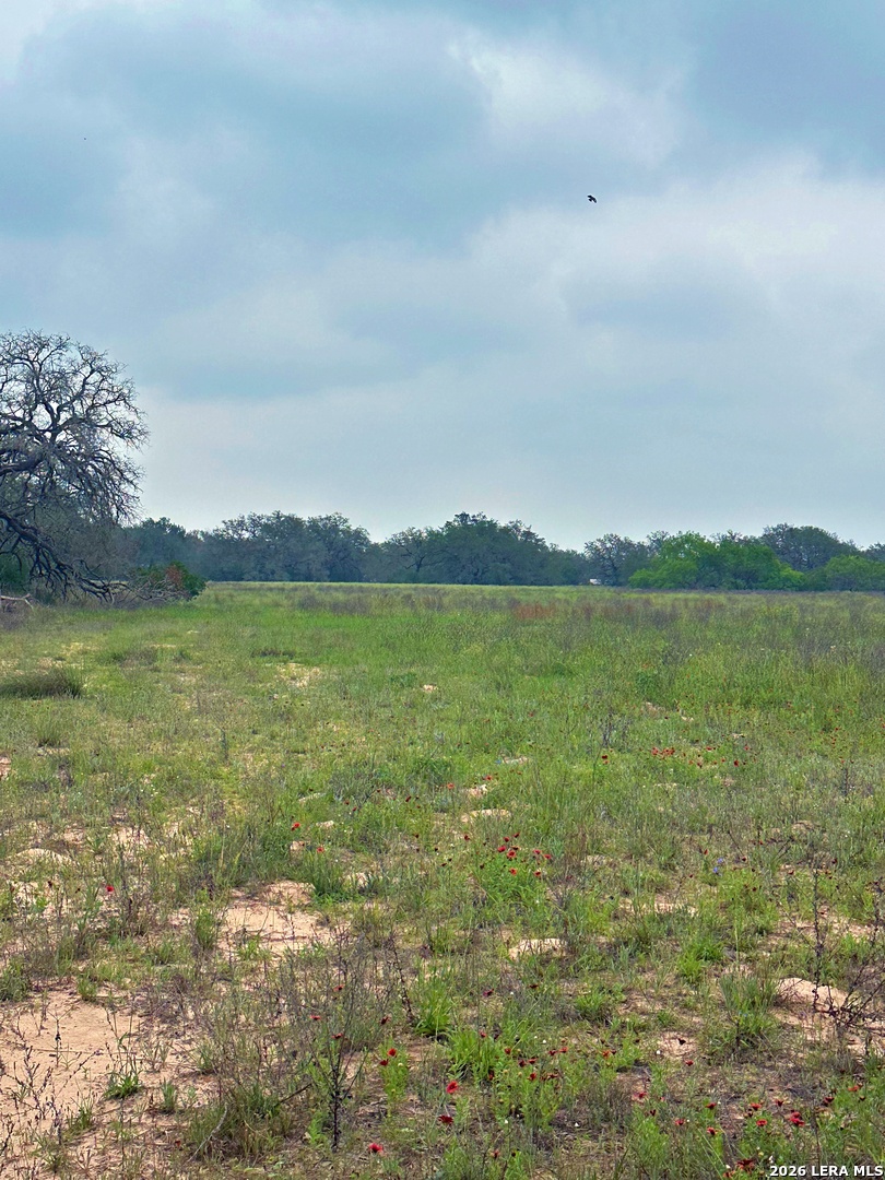 586 Jenschke Poteet TX 78065
