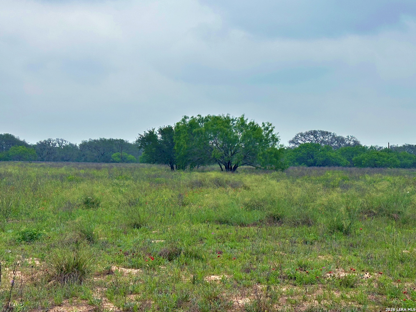 586 Jenschke Poteet TX 78065