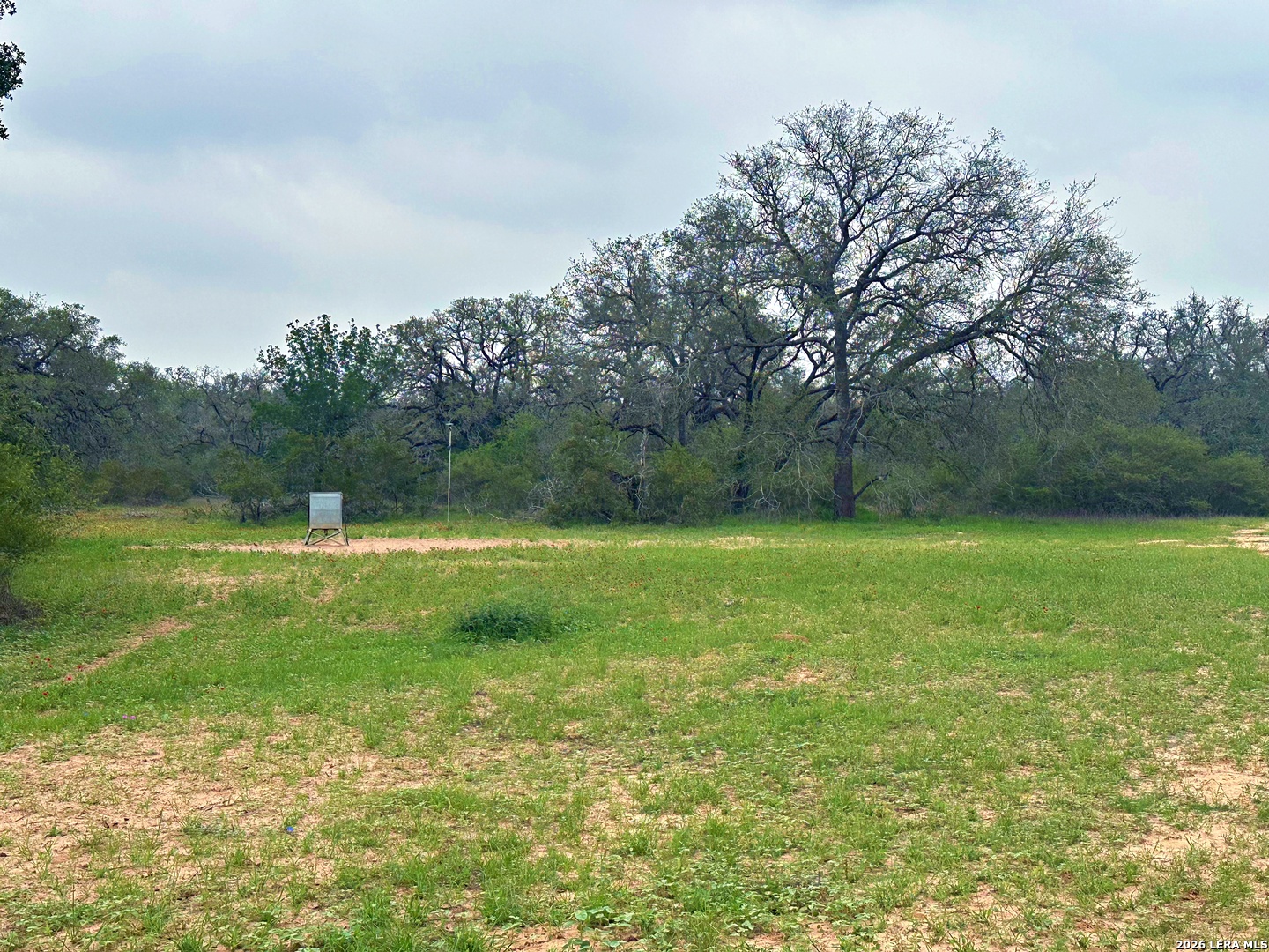 586 Jenschke Poteet TX 78065