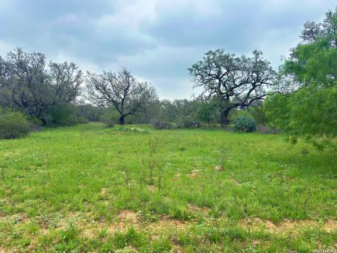 586 Jenschke Poteet TX 78065
