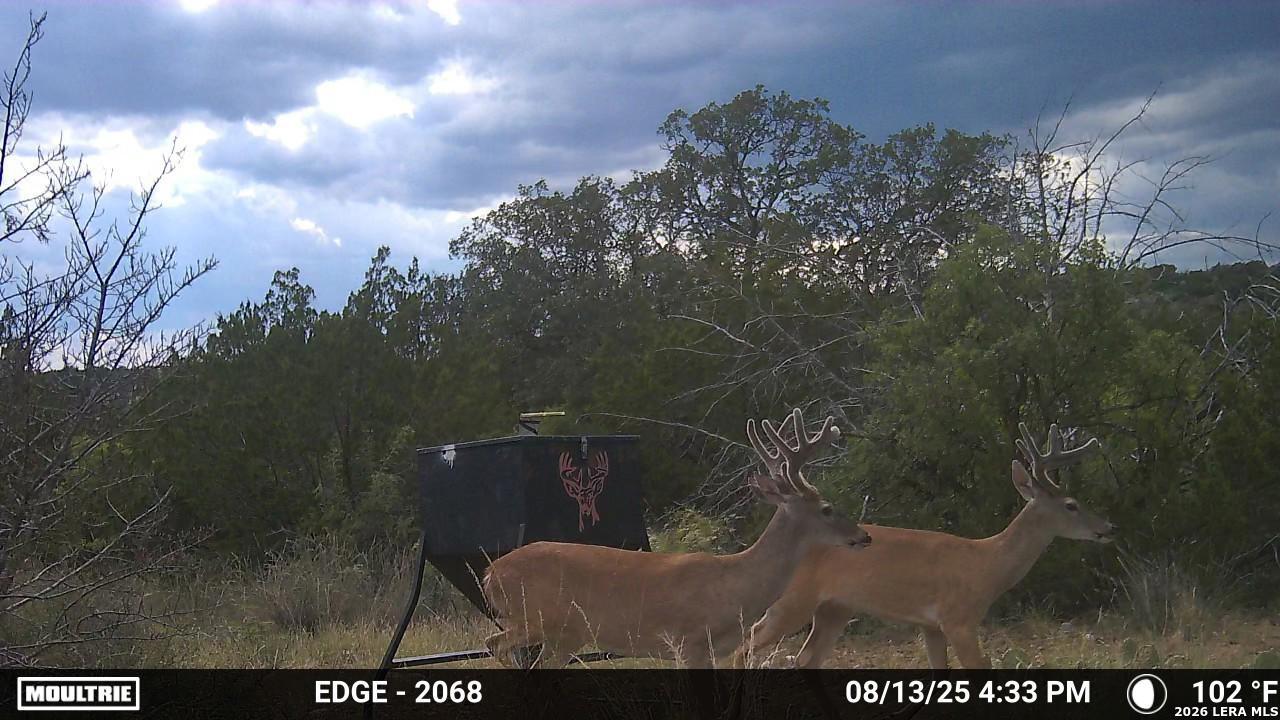 Tbd Sd 45730 Rocksprings TX 78880