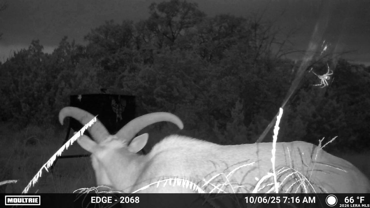 Tbd Sd 45730 Rocksprings TX 78880