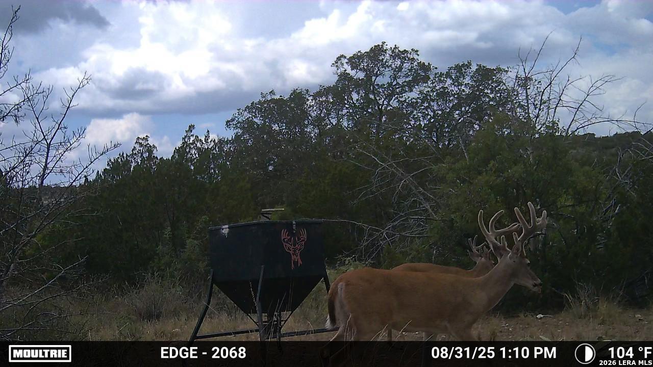 Tbd Sd 45730 Rocksprings TX 78880
