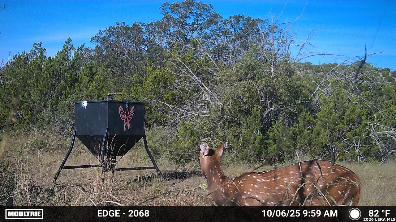 Tbd Sd 45730 Rocksprings TX 78880