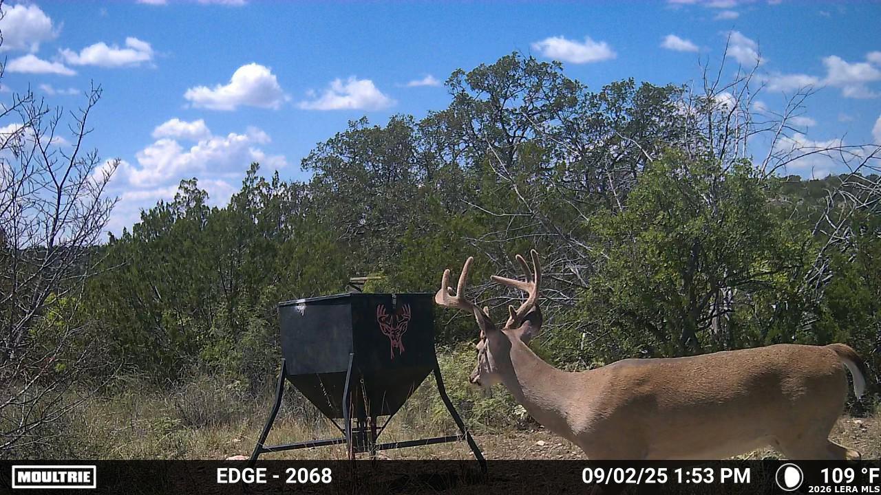 Tbd Sd 45730 Rocksprings TX 78880