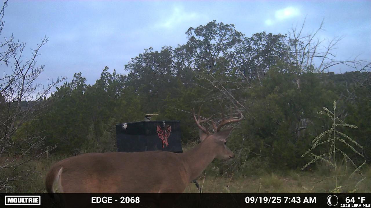 Tbd Sd 45730 Rocksprings TX 78880