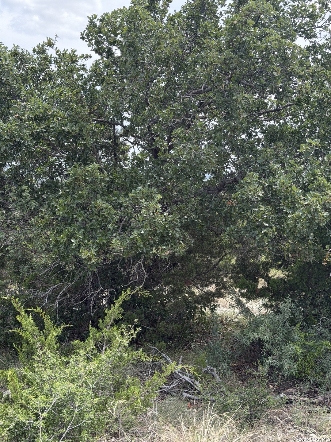 Tbd Sd 45730 Rocksprings TX 78880